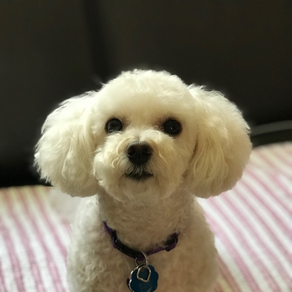 Meet your Posher, Jiyeon